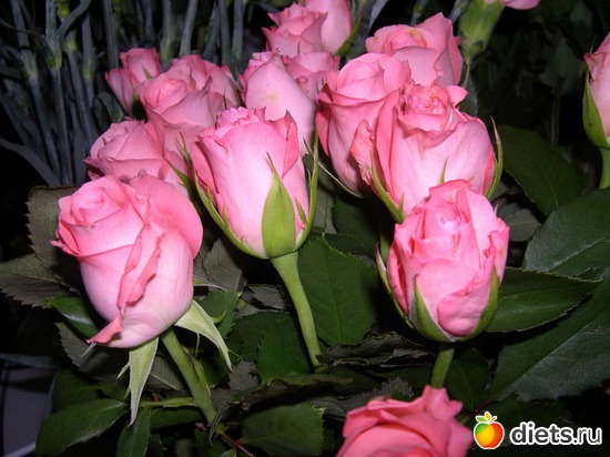 5 фото: красивые цветы