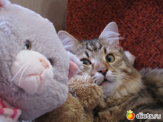 Подарки получены, уничтожены - вкусно... Можно и поиграть... Арсению 1 год., альбом: МОЙ СИБИРСКИЙ ХУЛИГАН