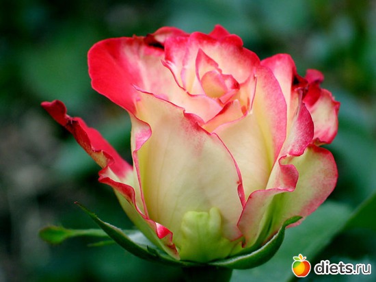 7 ����: �������� �����