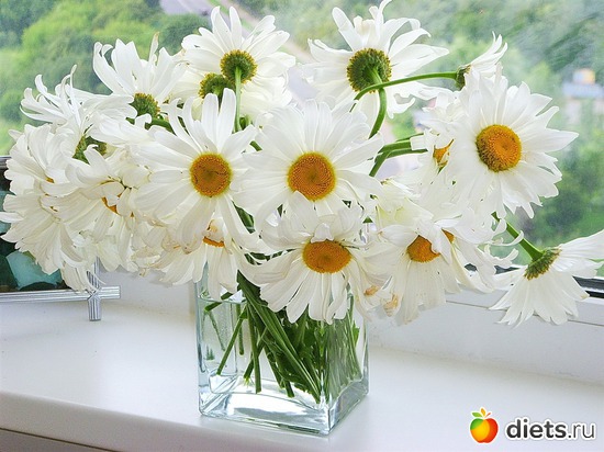 19 фото: красивые цветы