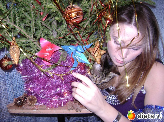 2 ����: ��������� ���� ��������� 2011 ����