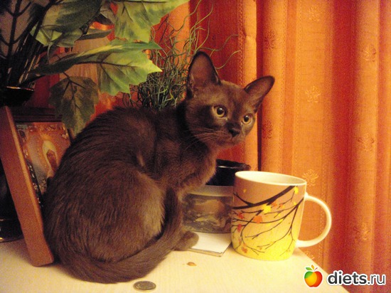 5 фото: Моя любимица