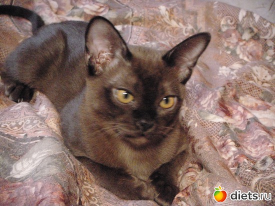 8 фото: Моя любимица