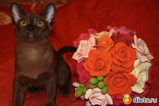 11 фото: Моя любимица