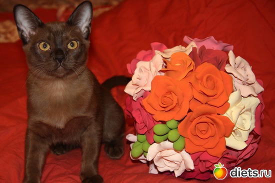 12 фото: Моя любимица