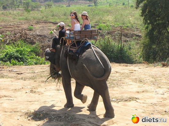 �������� �� �����, ������: ������� 2012