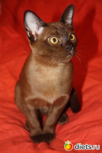 10 фото: Моя любимица