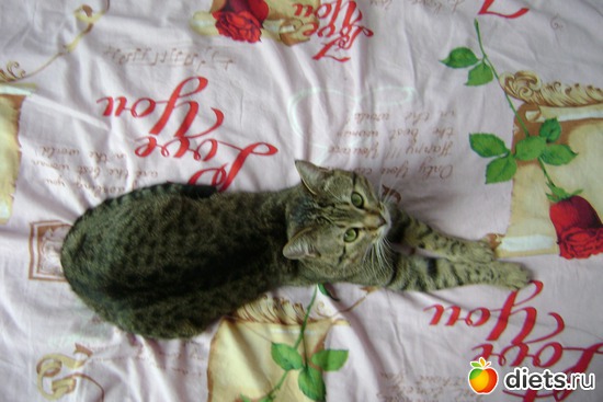 ��� ��� ������� ���������, ������ ���������� ����, ������: ��� �����!