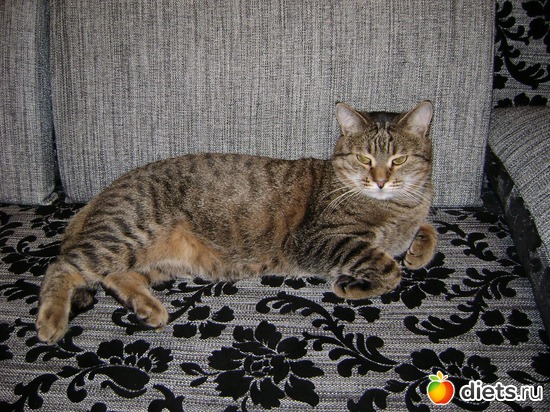 2 ����: ��� �����!