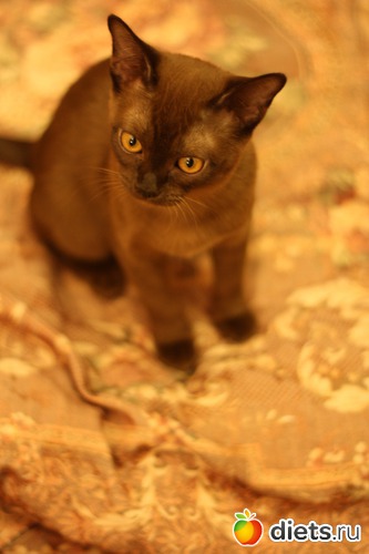 18 фото: Моя любимица