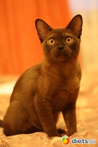 20 фото: Моя любимица