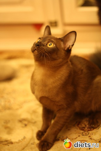 23 фото: Моя любимица