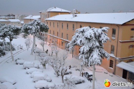 2 ����: ��� ���-��������� ������!