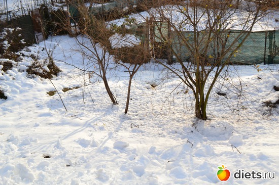 3 ����: ��� ���-��������� ������!