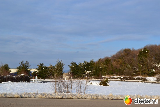 4 ����: ��� ���-��������� ������!