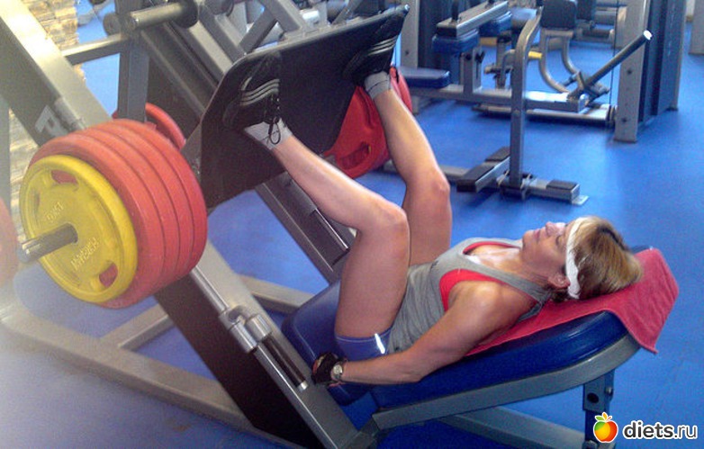 5 ����: ��� ������� ���������-��� ���������