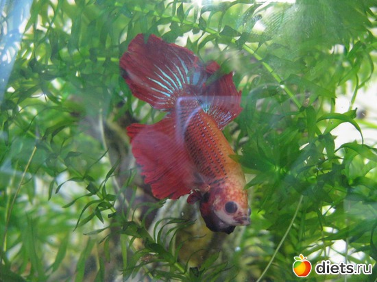 9 фото: нравится мне