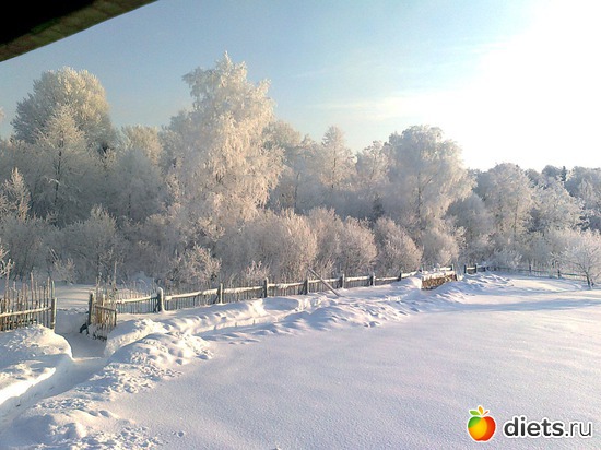 1 ����: ���� 2012