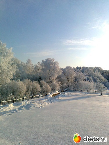 4 фото: зима 2012