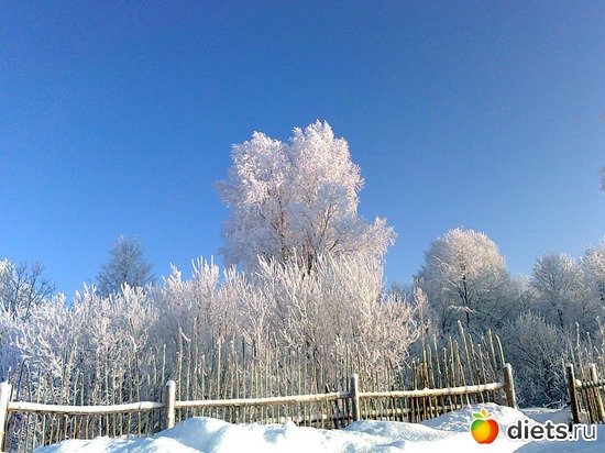 6 ����: ���� 2012