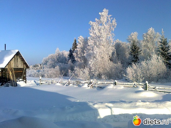 8 ����: ���� 2012