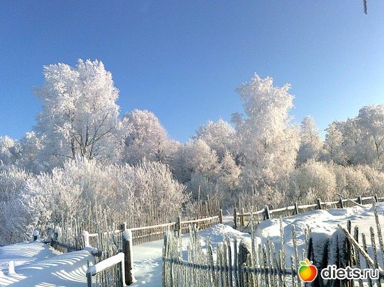 9 ����: ���� 2012