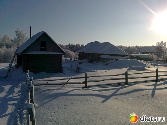 11 фото: зима 2012