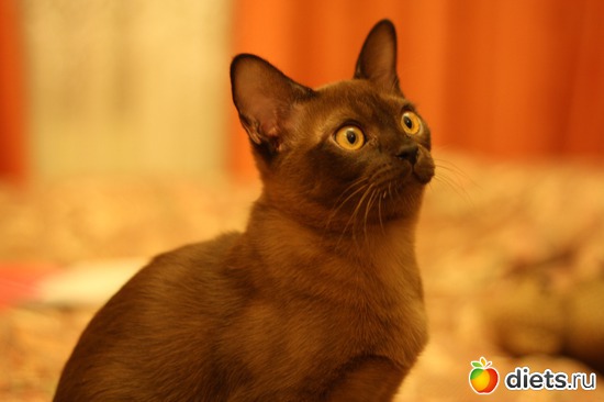 19 фото: Моя любимица