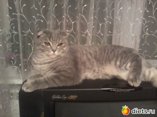 Матрешка подросла, альбом: Зверье мое