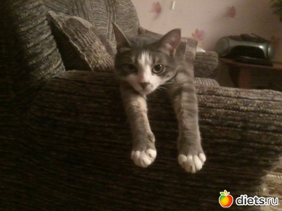 6 фото: Зверье мое