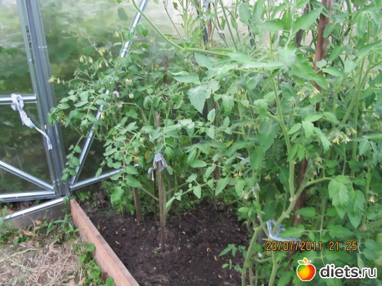 3 ����: ������������ ������=))