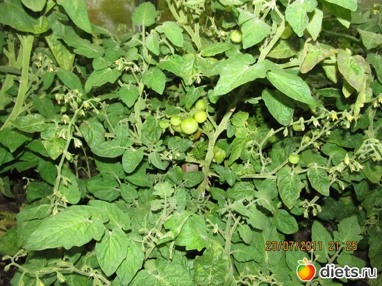 4 ����: ������������ ������=))