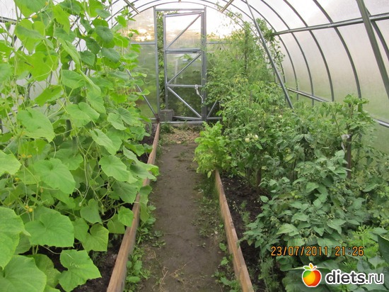 8 фото: Прошлогодний урожай=))