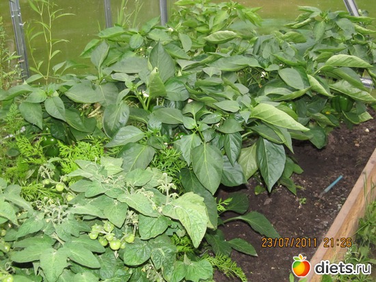 9 ����: ������������ ������=))