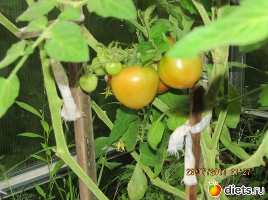 10 ����: ������������ ������=))