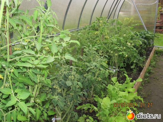 11 фото: Прошлогодний урожай=))