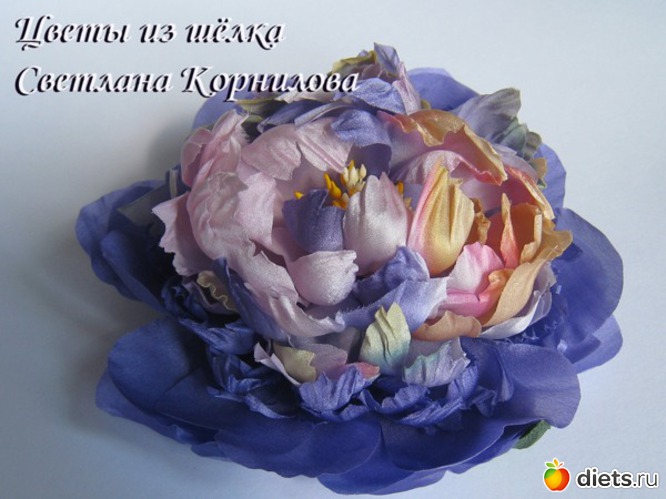 1 ����: ��������� ��������