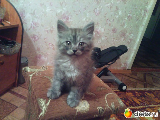 3 ����: ��� �����