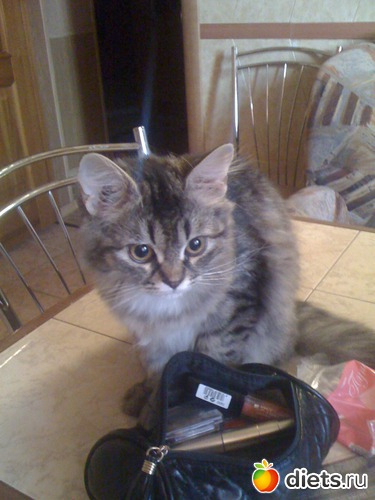 5 ����: ��� �����