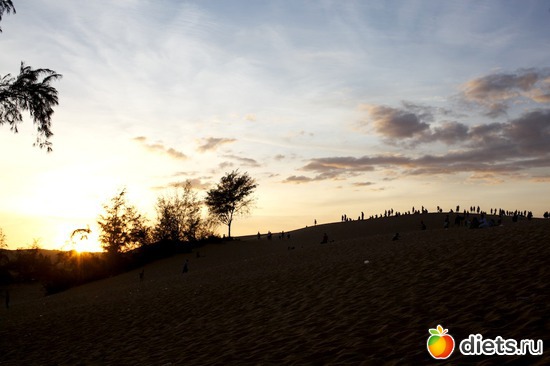 21 фото: Viet Nam