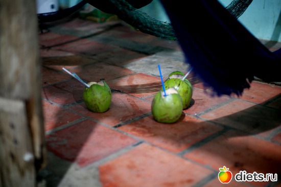 37 фото: Viet Nam