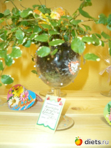 композиция с фикусом, альбом: мои фото