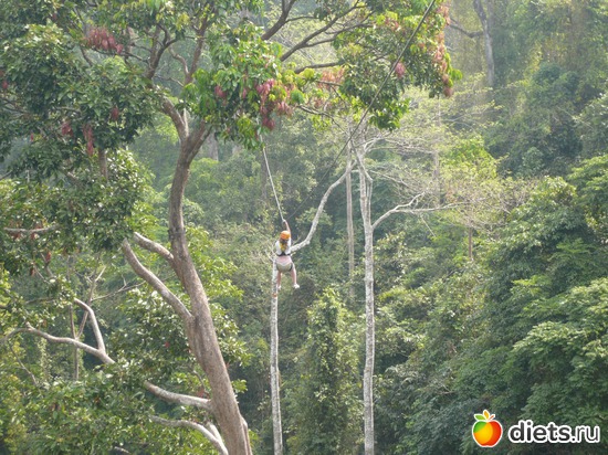 ���� ��� �, ����..., ������: ������� 2012