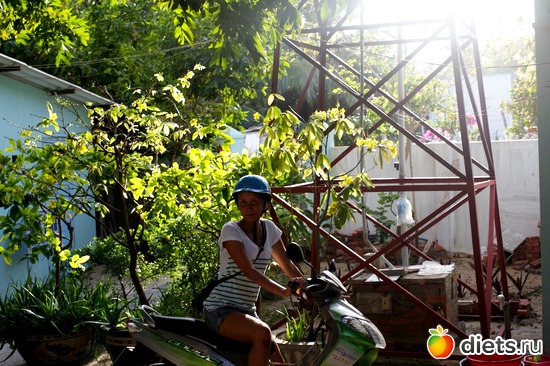 2 фото: Viet Nam