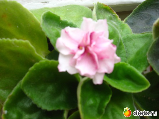 3 ����: �������