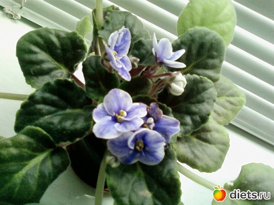 8 ����: �������