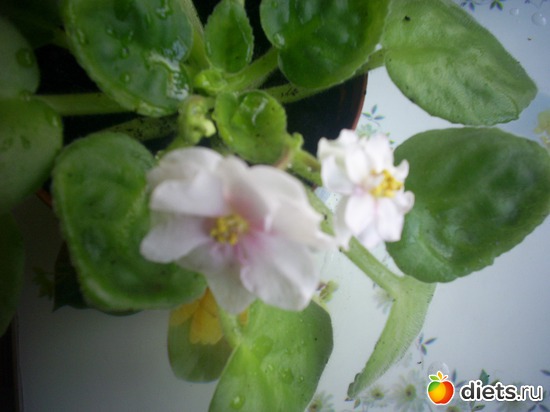 14 ����: �������