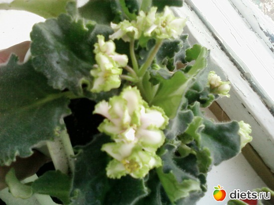 ���� � ��� ���!, ������: �������