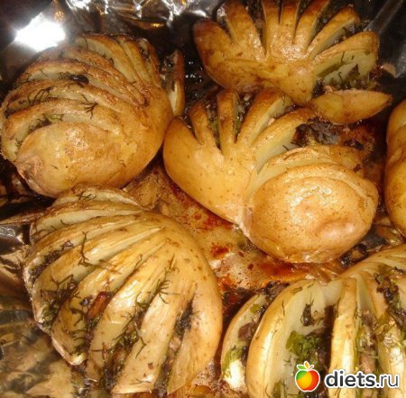 ��������- ��������