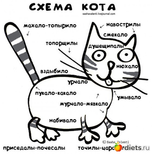 Схема кота, альбом: мои кошаки
